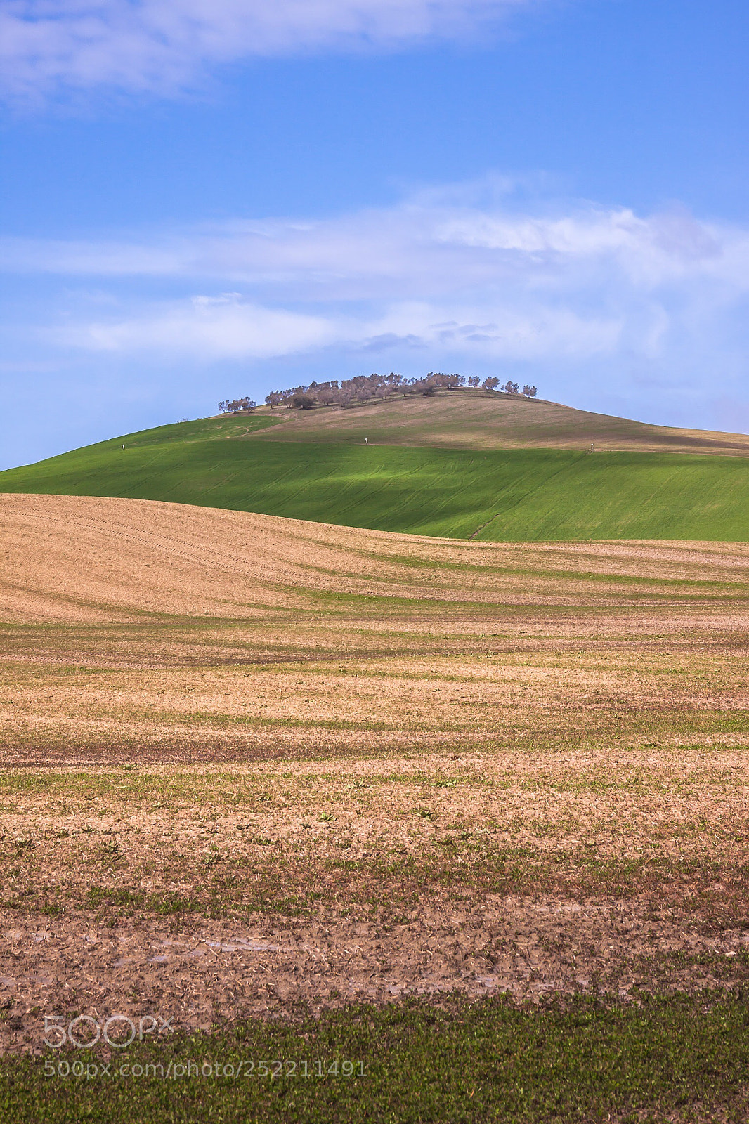 Canon EOS 50D sample photo. Emotions
tuscany  photography