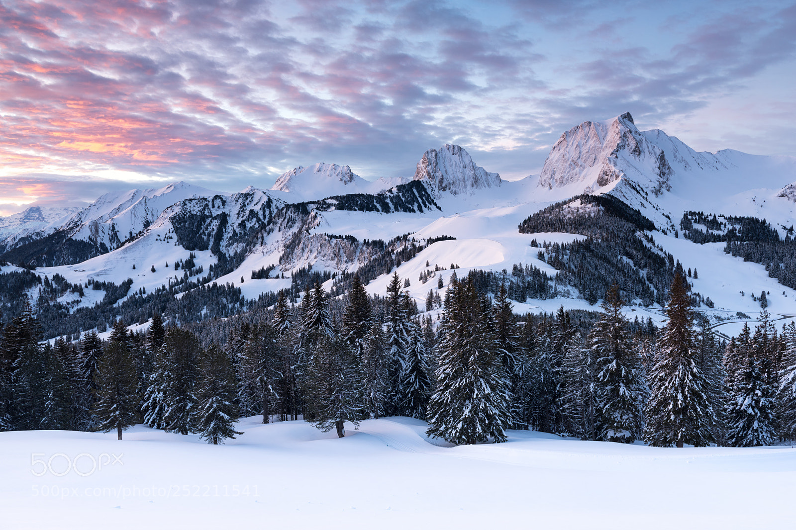 Nikon D850 sample photo. Swiss winter photography