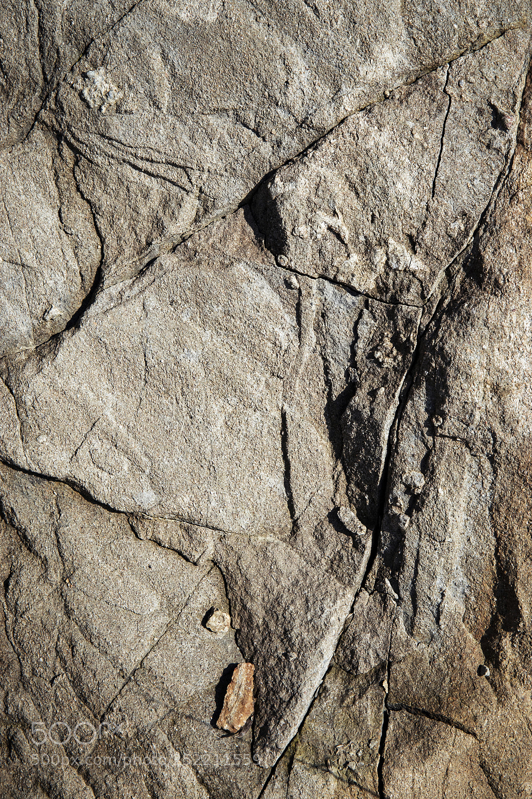 Nikon D5500 sample photo. Cracks in the weathered photography
