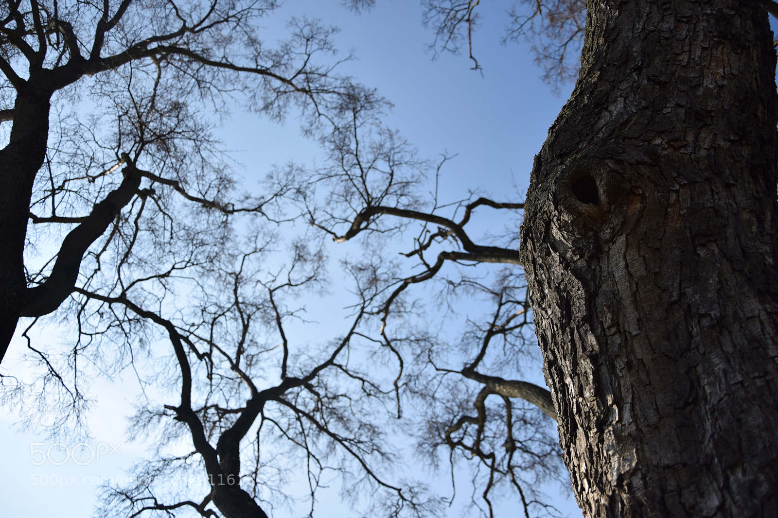 Nikon D5300 sample photo. Just because i love photography