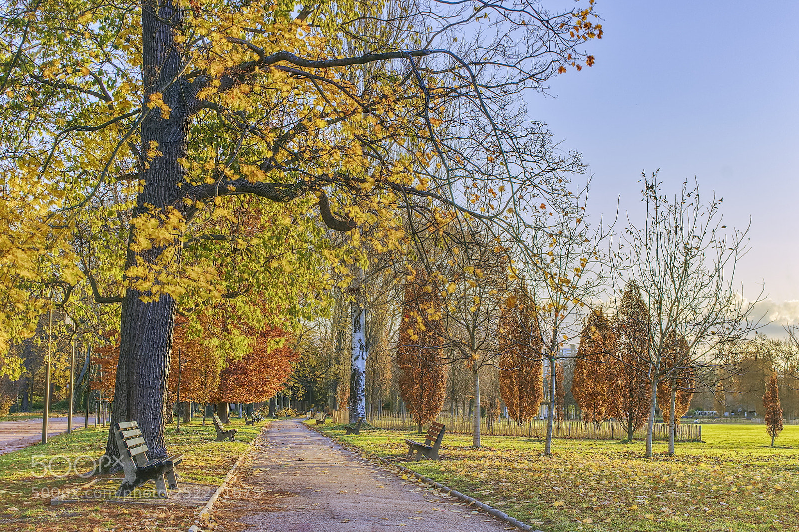 Canon EOS 700D (EOS Rebel T5i / EOS Kiss X7i) sample photo. An autumn sunny afternoon photography