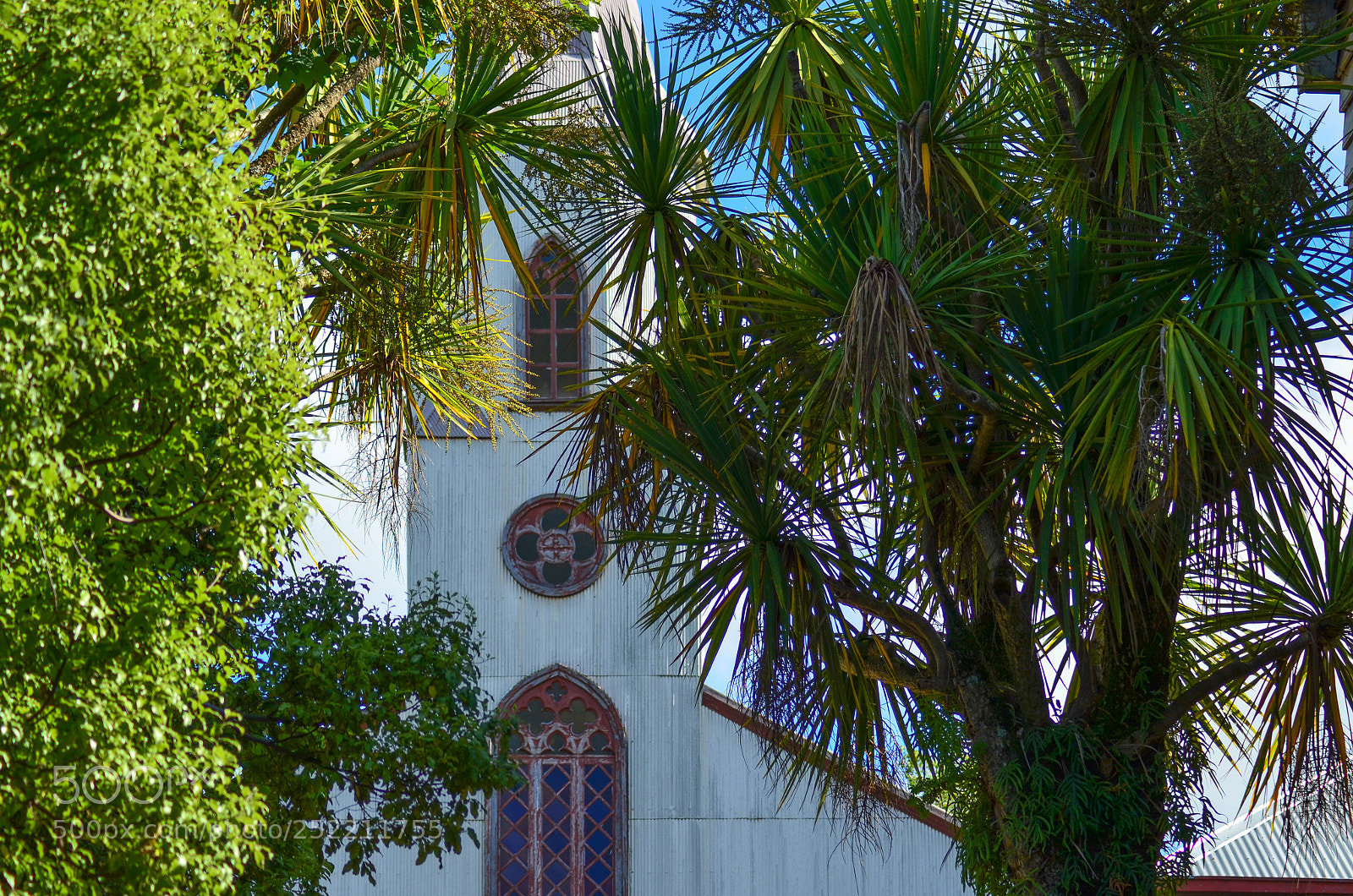 Nikon D5100 sample photo. Ancud photography