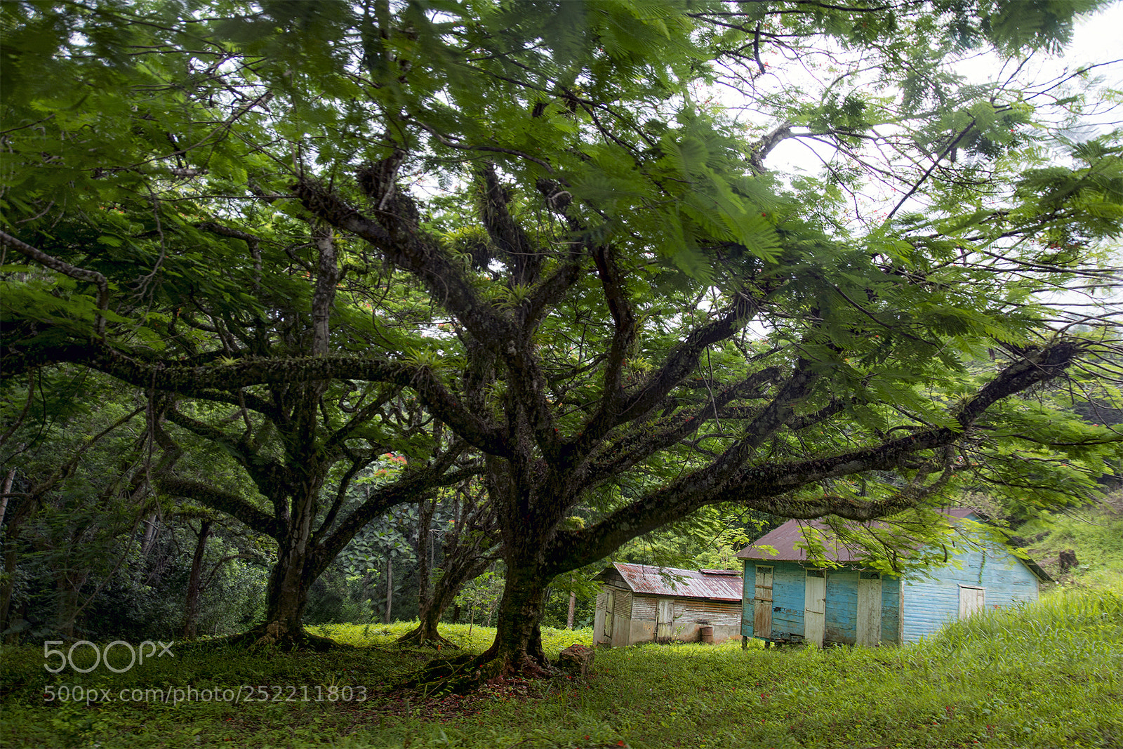 Nikon D7100 sample photo. Houses of my country photography