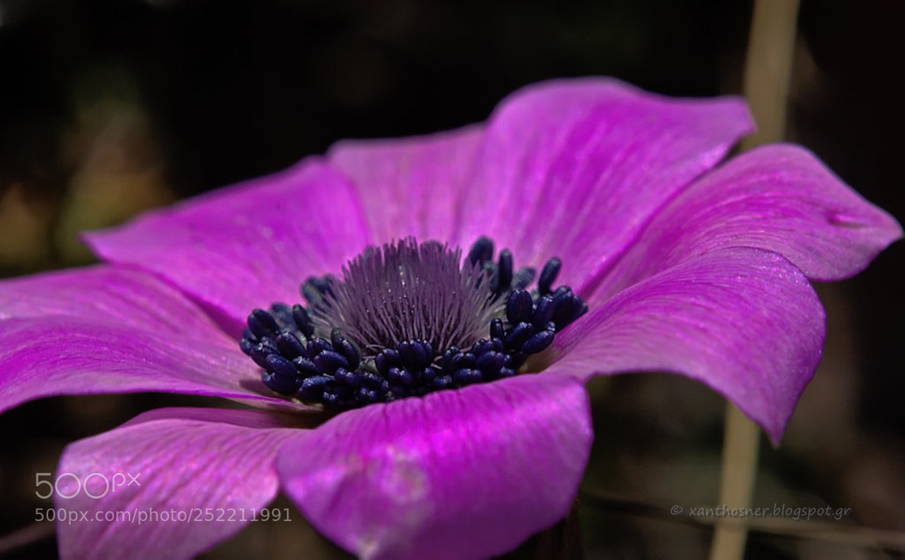 Canon EOS 60D sample photo. Μεγάλη Πέμπτη photography