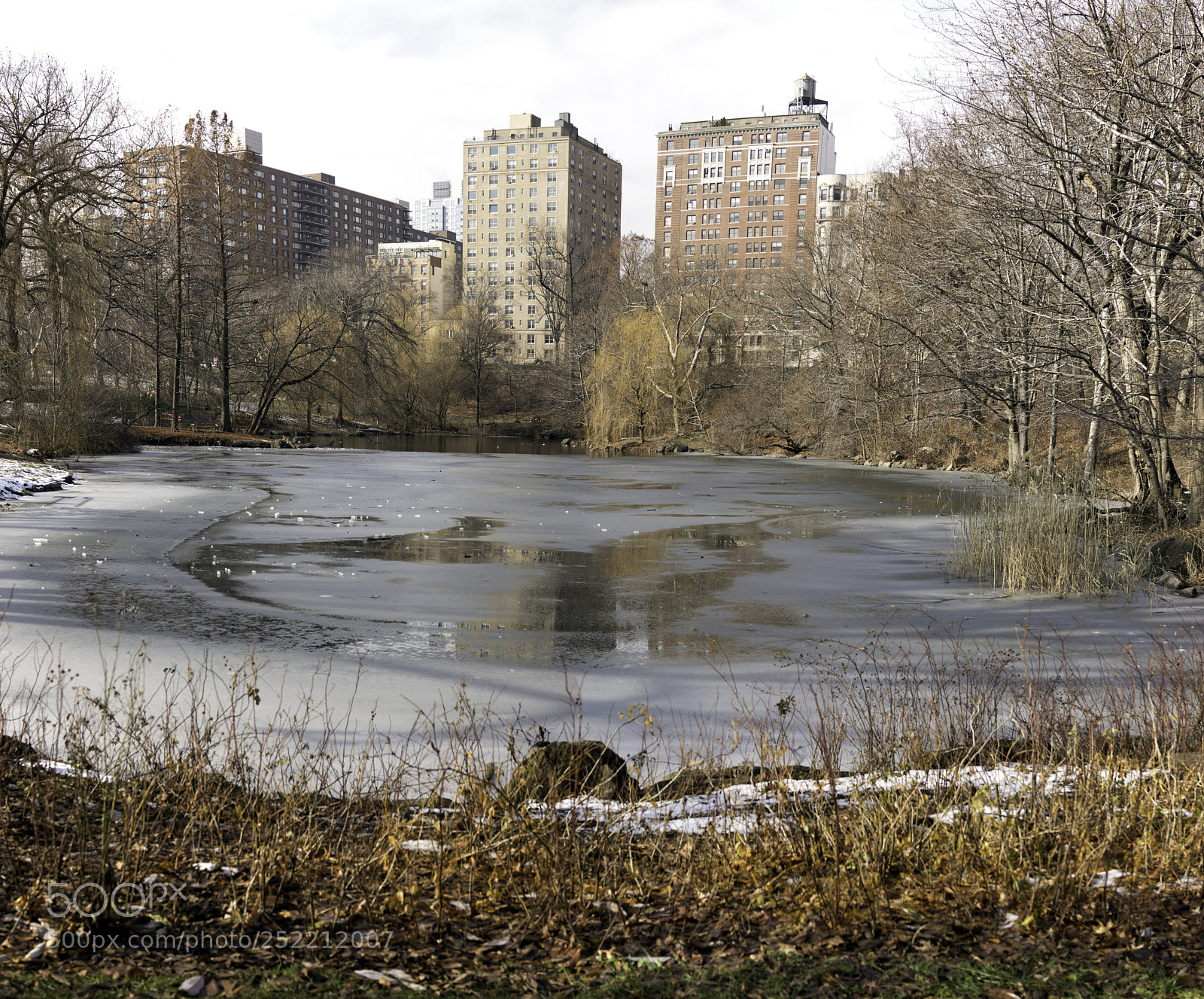 Sony Cyber-shot DSC-RX1R II sample photo. The pool in december photography