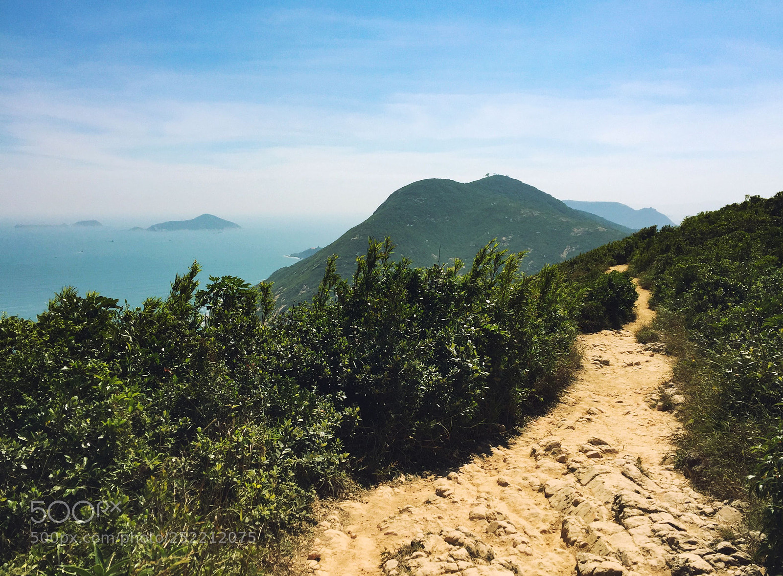 Apple iPhone 6 sample photo. Hong kong - dragon's photography