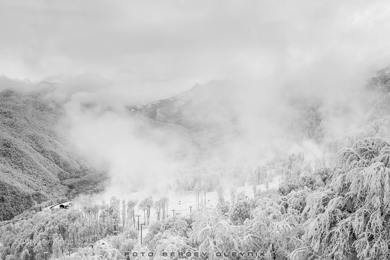 Canon EOS 5D Mark II sample photo. Winter's tale photography