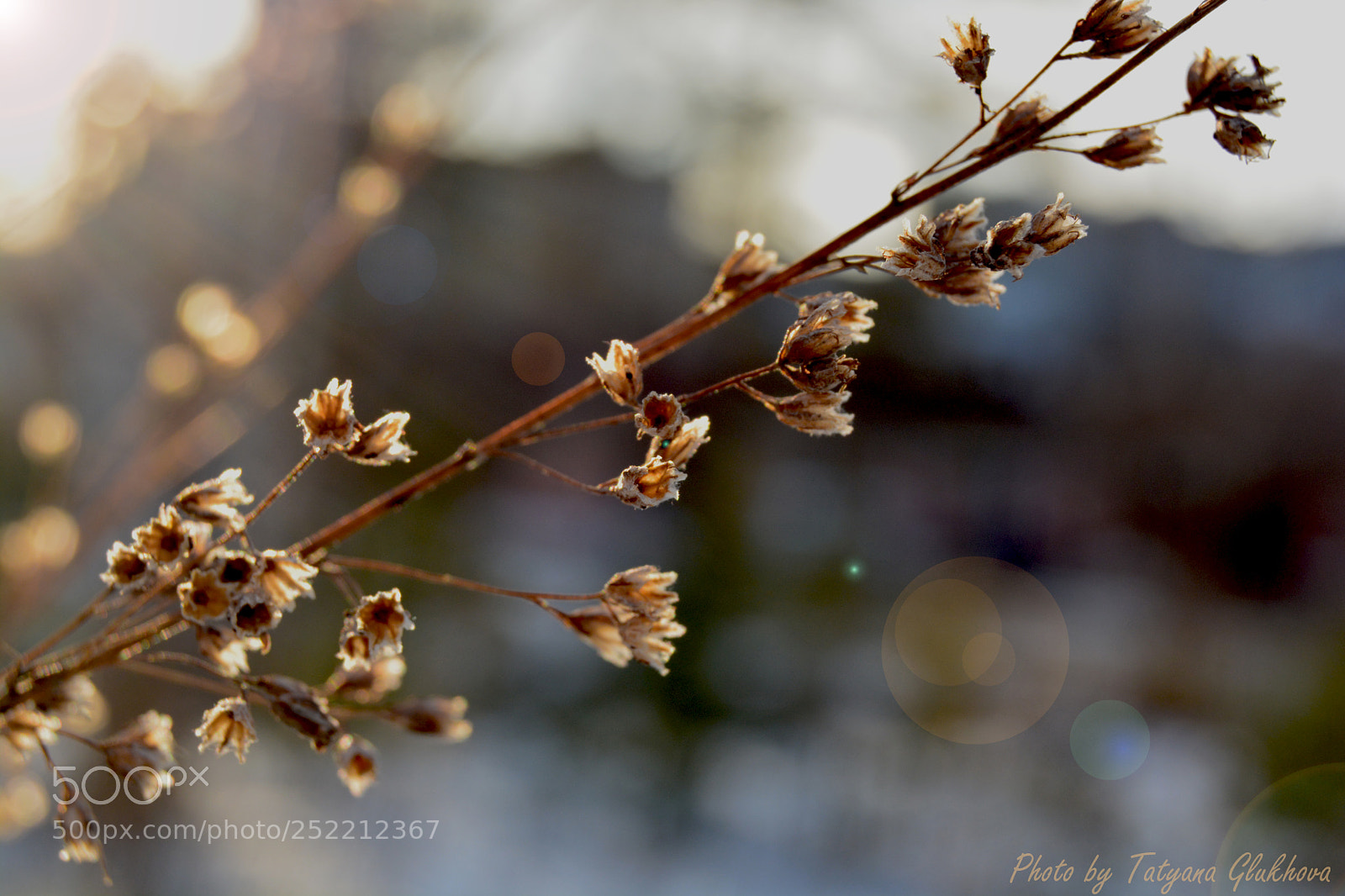 Nikon D5200 sample photo. Untitled photography