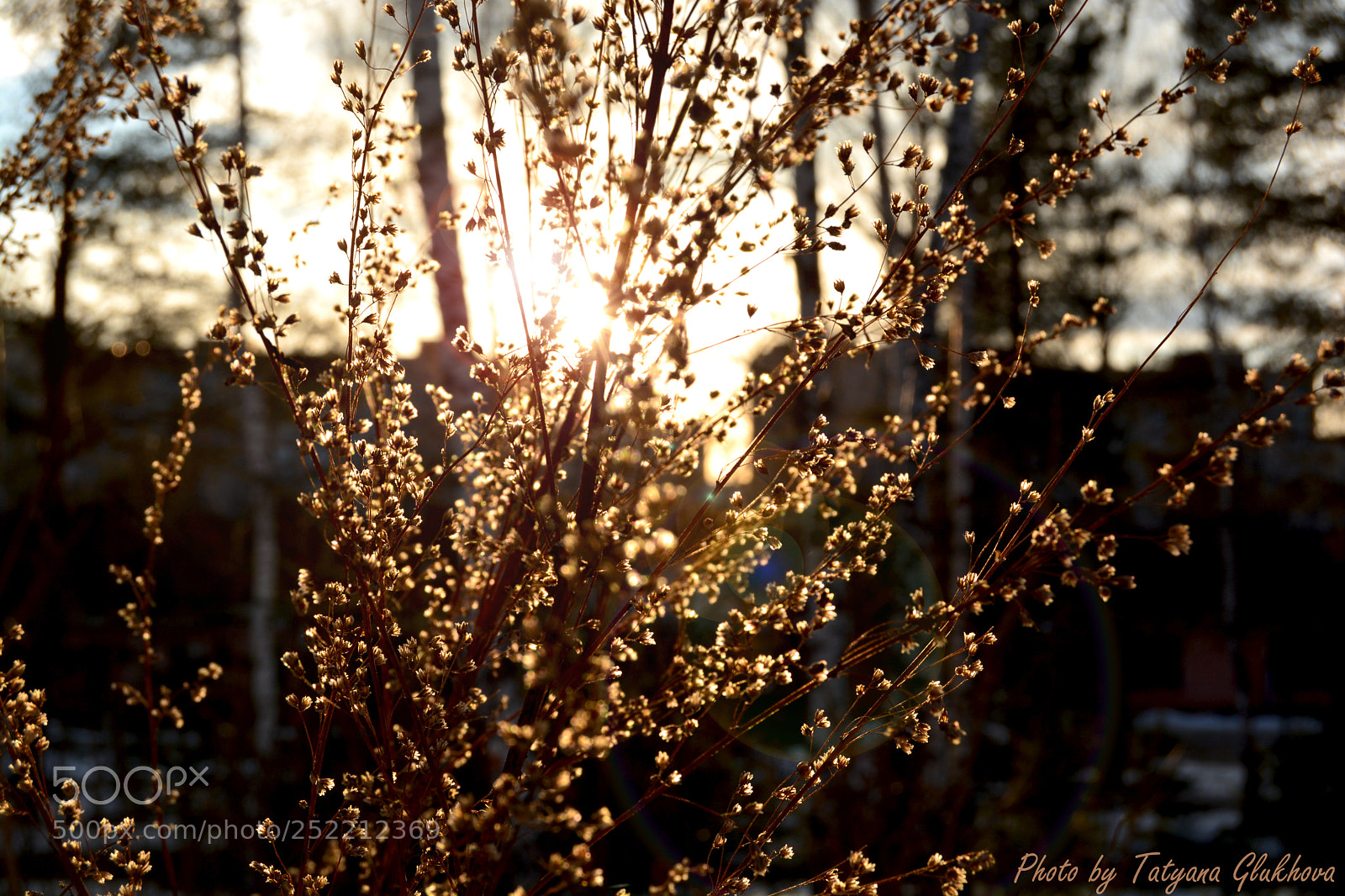 Nikon D5200 sample photo. Untitled photography