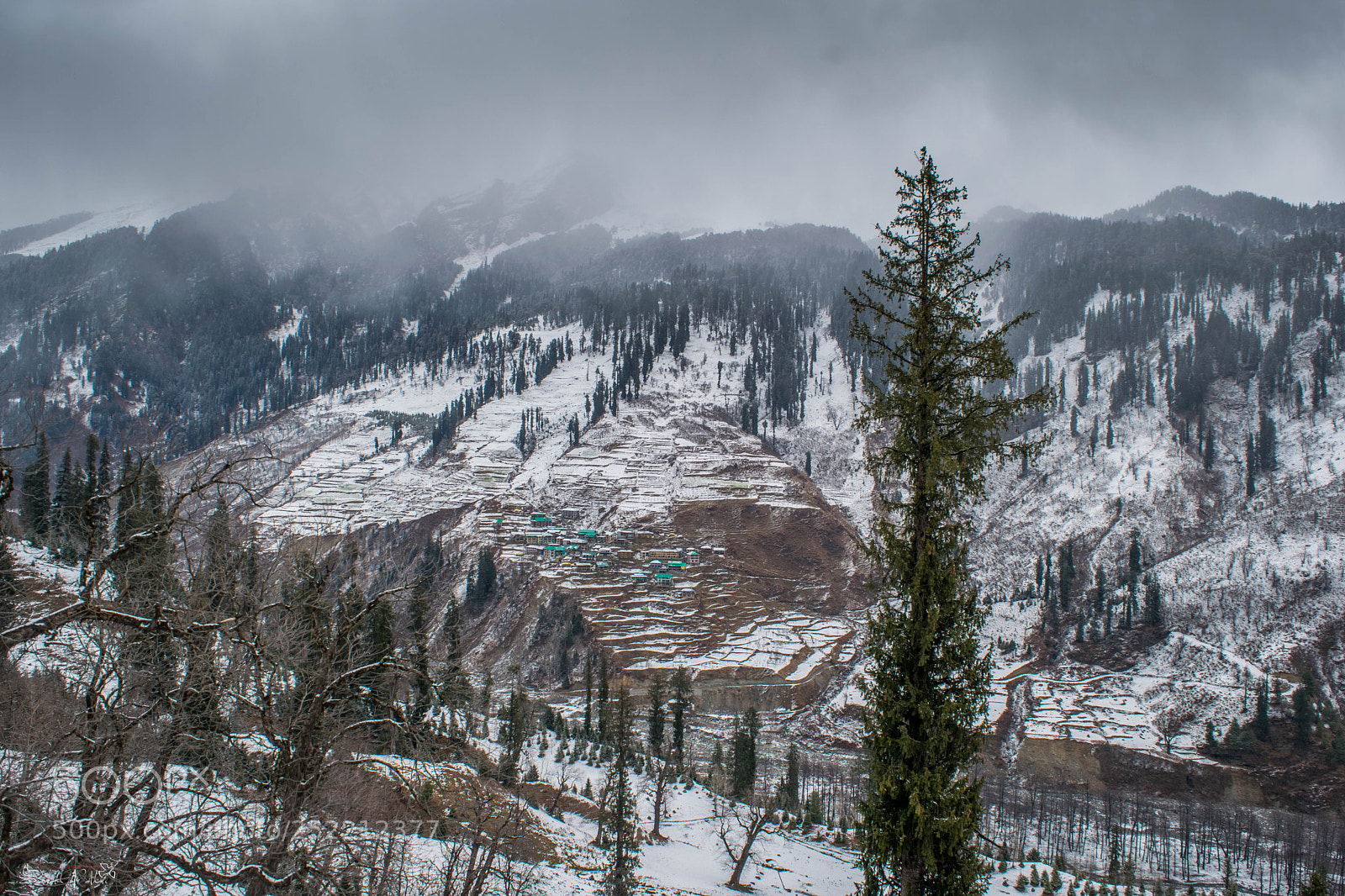 Nikon D5300 sample photo. Solang valley. photography
