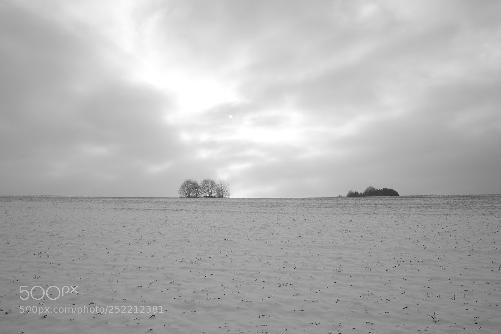 Fujifilm X70 sample photo. Untitled photography