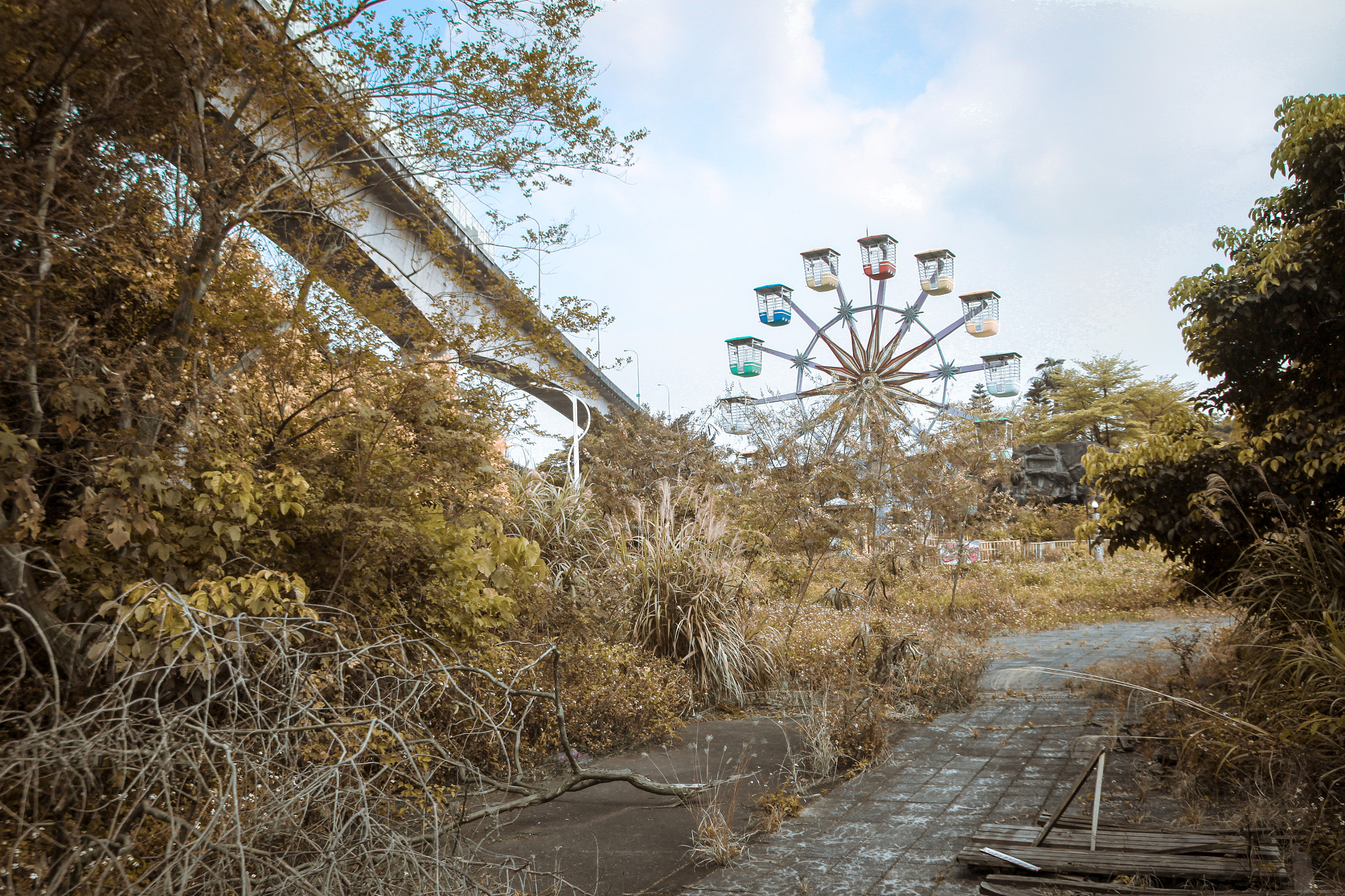 Canon EOS 500D (EOS Rebel T1i / EOS Kiss X3) sample photo. Abandoned amusement park photography