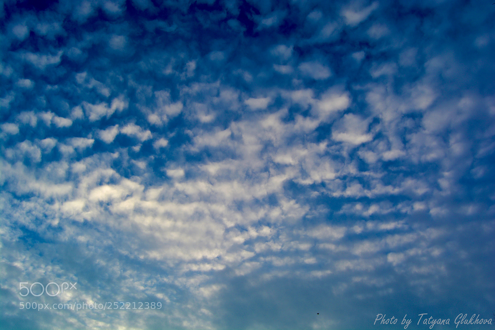 Nikon D5200 sample photo. Untitled photography