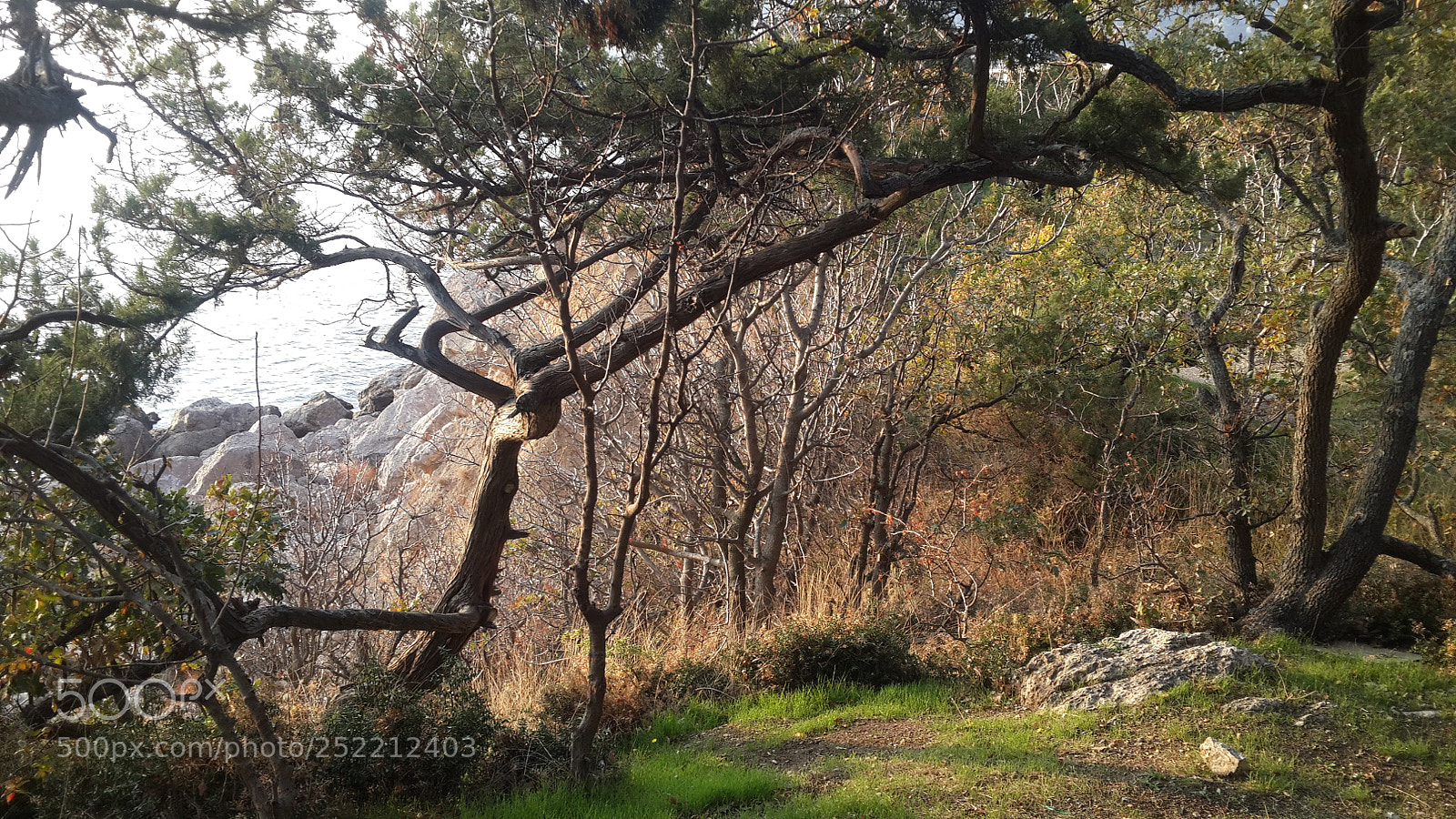 Samsung Galaxy S4 sample photo. 20171105_153417.jpg photography
