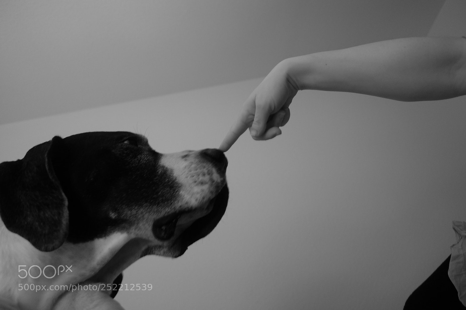Fujifilm X70 sample photo. Untitled photography