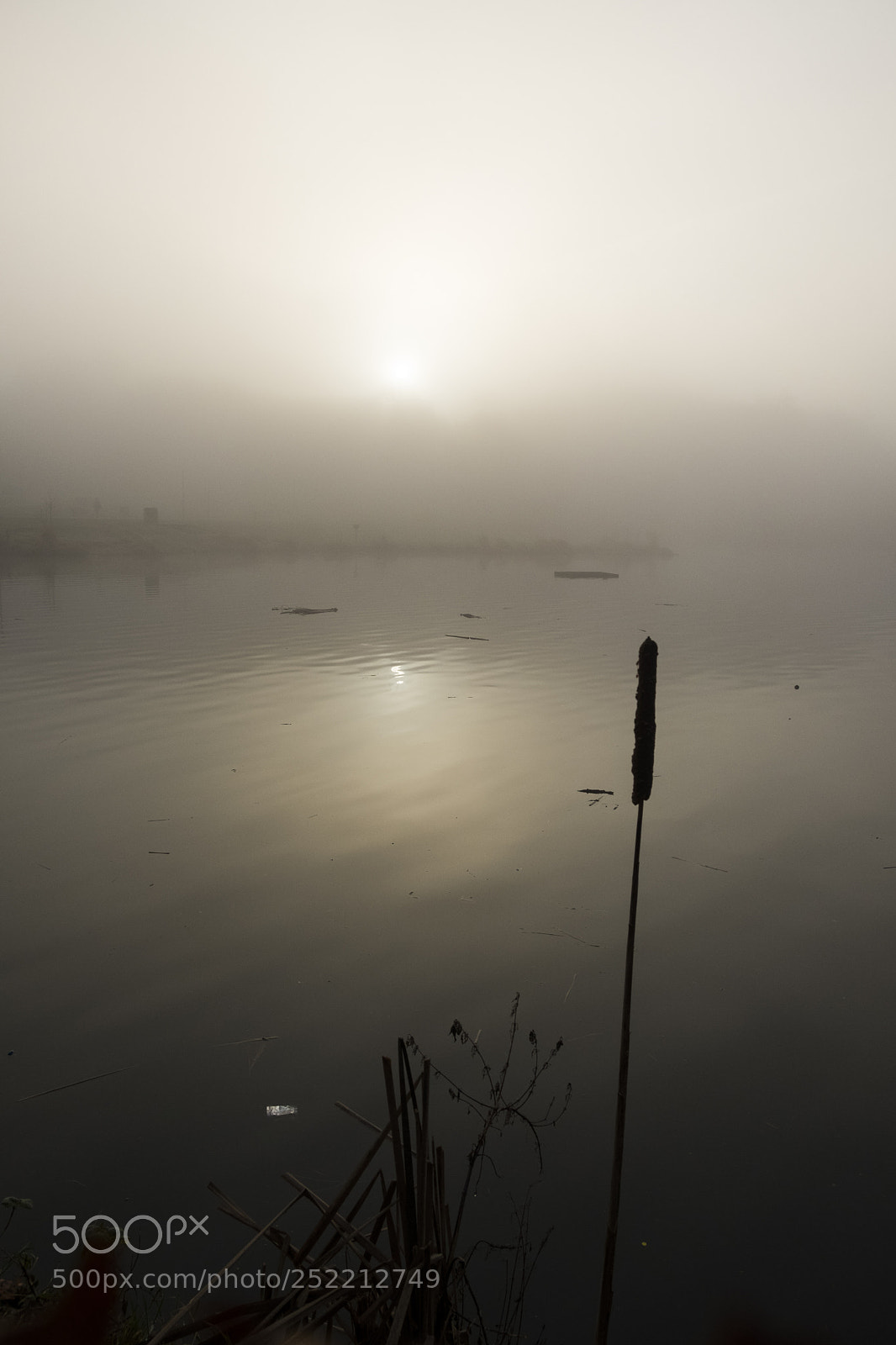 Fujifilm X-T20 sample photo. Foggy morning photography