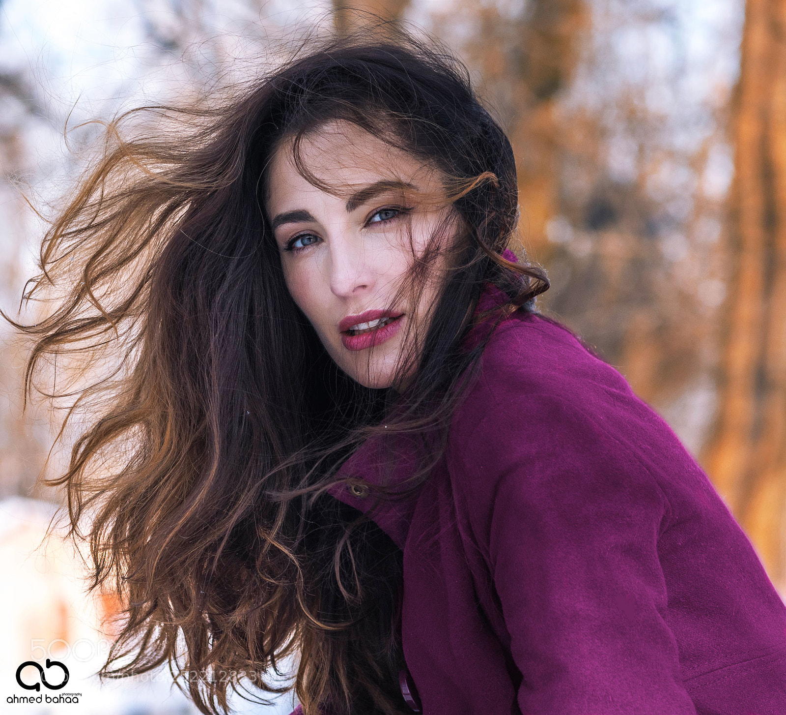 Nikon D810 sample photo. Windy day photography