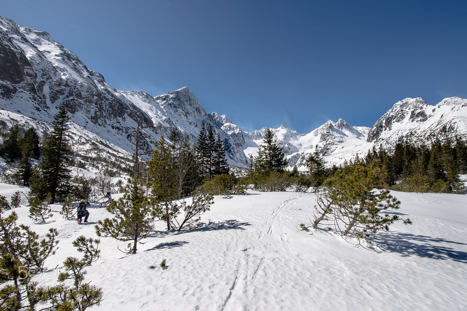 Nikon D7200 sample photo. High tatras iii photography