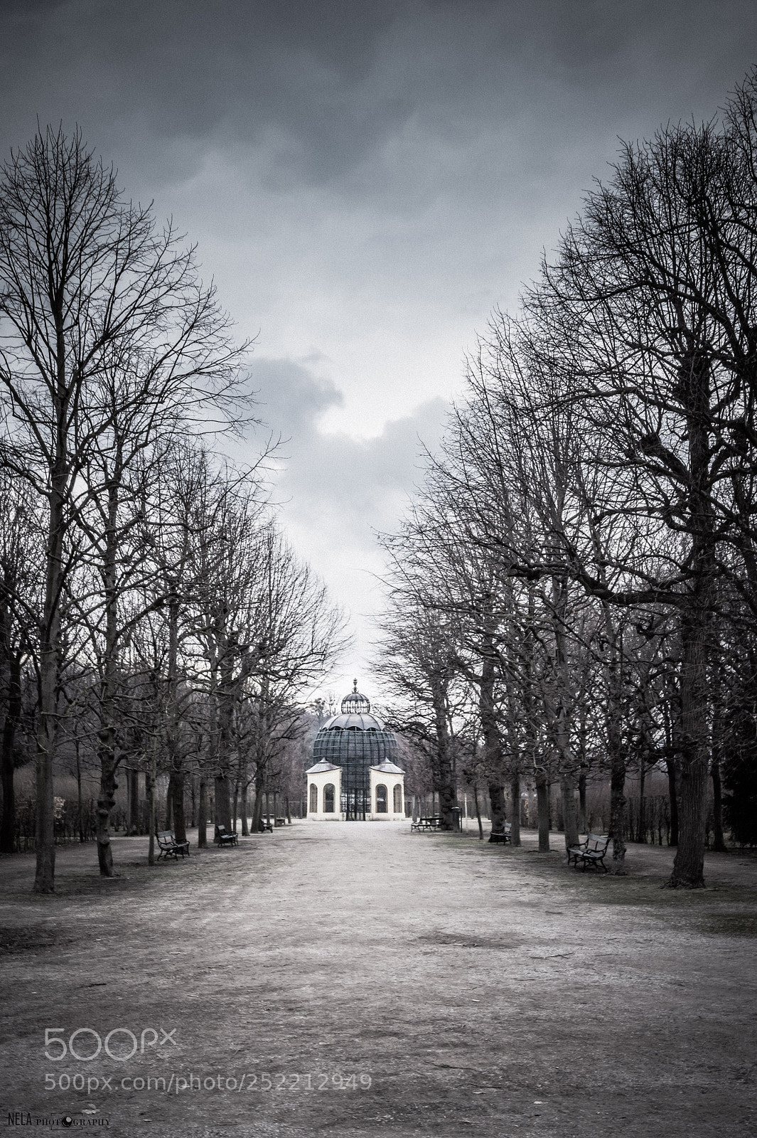 Nikon D7200 sample photo. Refuge photography