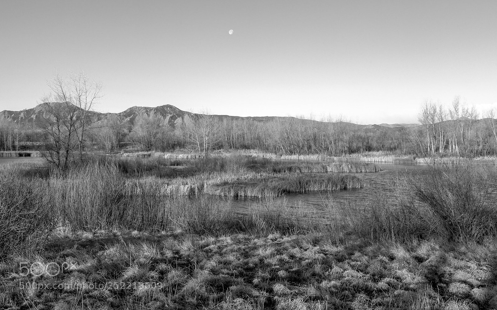 Canon EOS 5D Mark II sample photo. Morning solitude photography