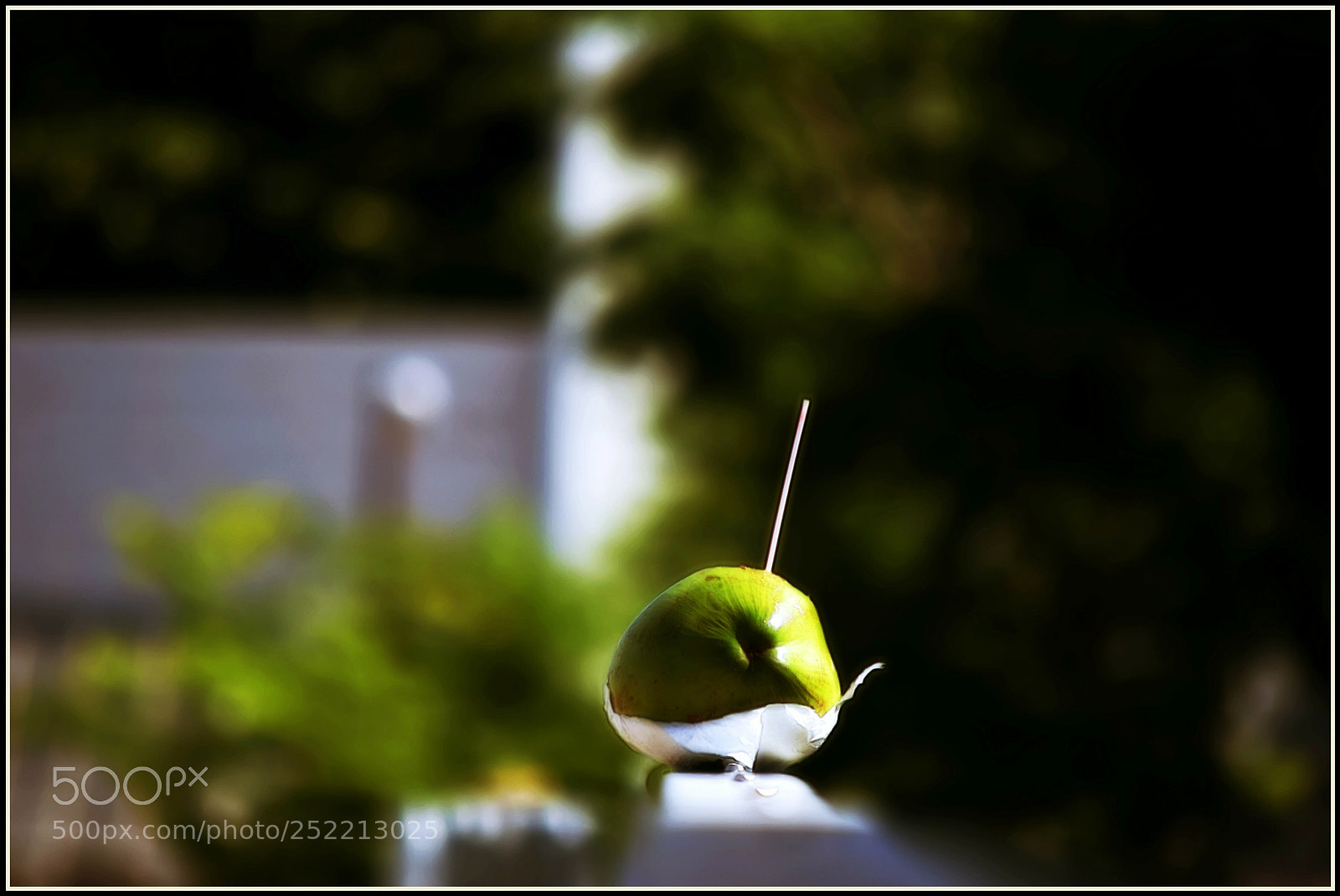 Nikon D5300 sample photo. "sede... photography