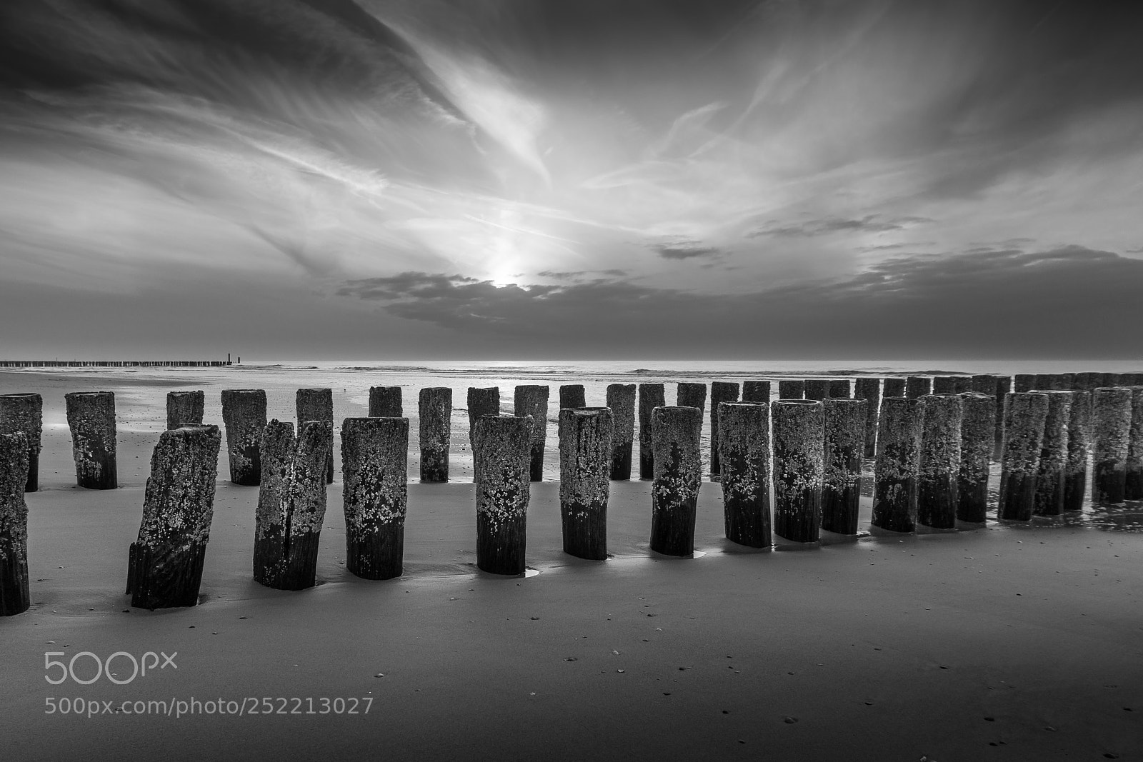 Nikon D7200 sample photo. Domburg photography