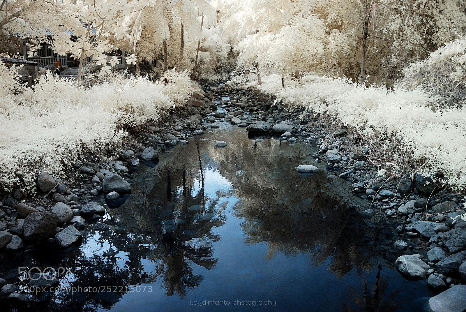 Nikon D80 sample photo. The riverbed photography