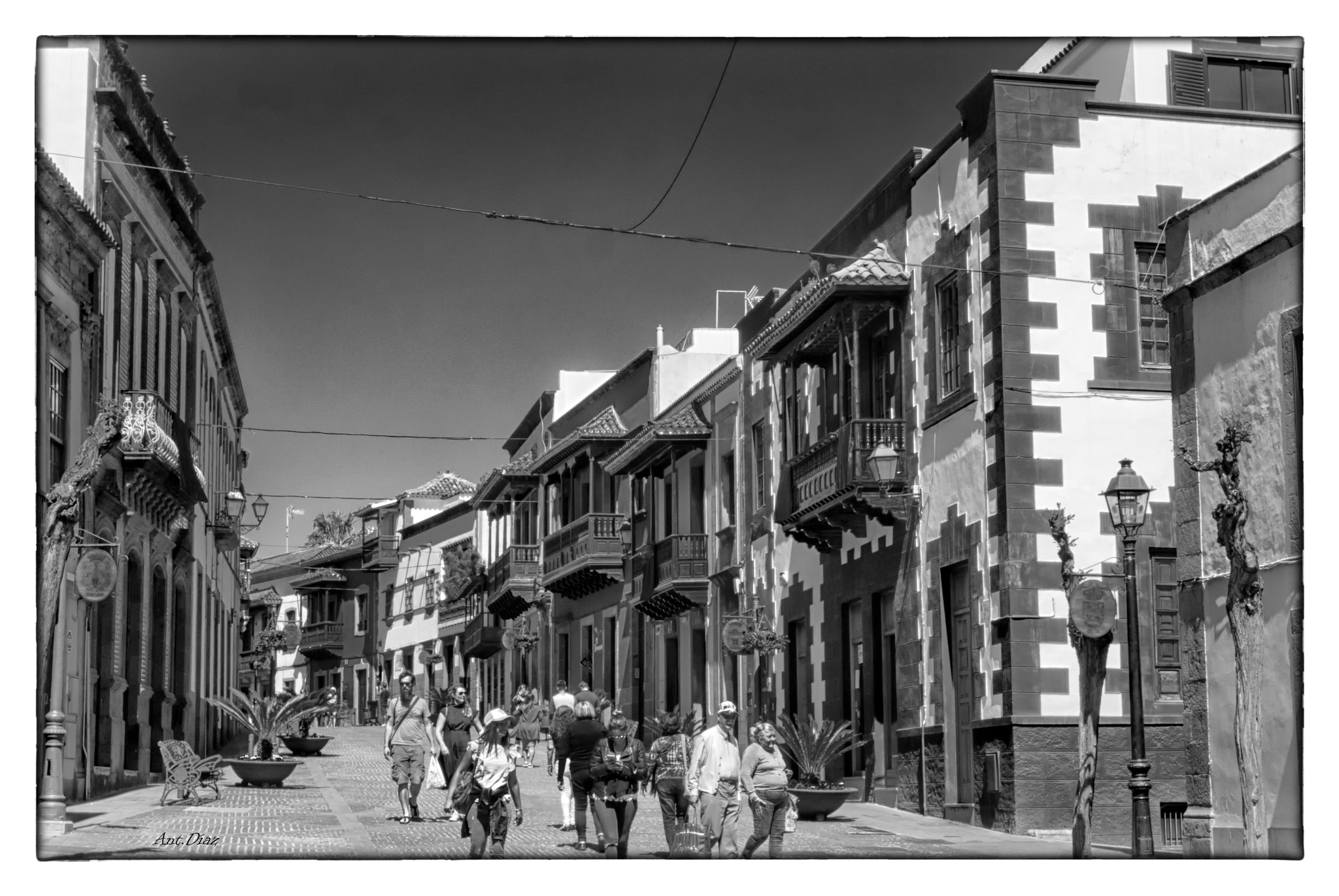 Nikon 1 V1 sample photo. Teror-canary island photography