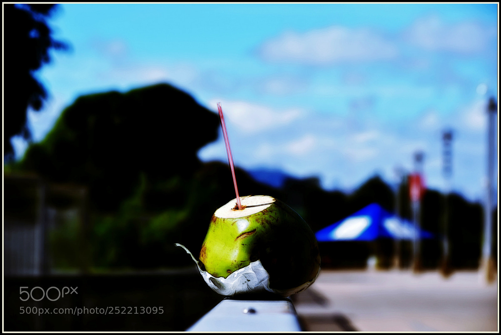Nikon D5300 sample photo. ..." photography