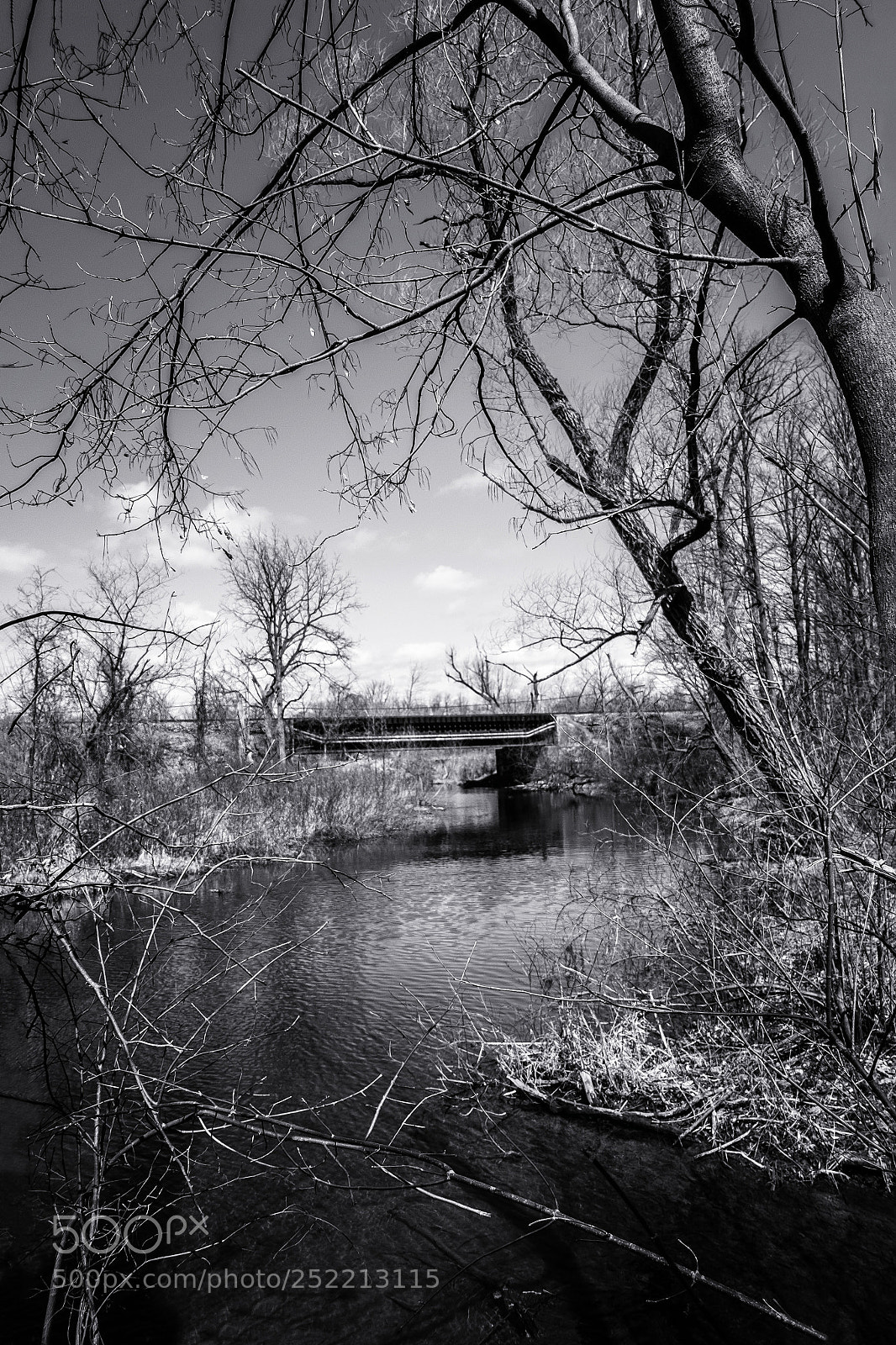 Fujifilm X-E2 sample photo. Mill pond park-milton photography