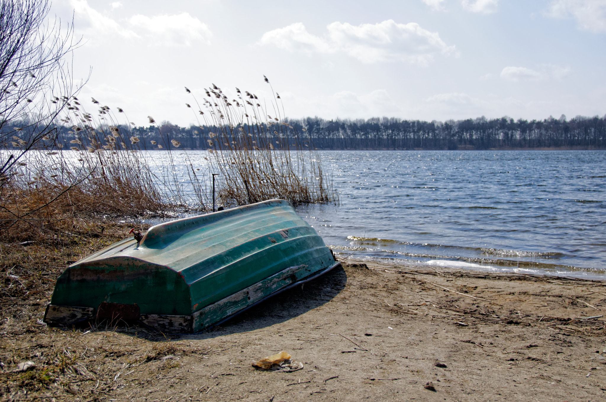 Nikon D90 sample photo. Spring time coming photography