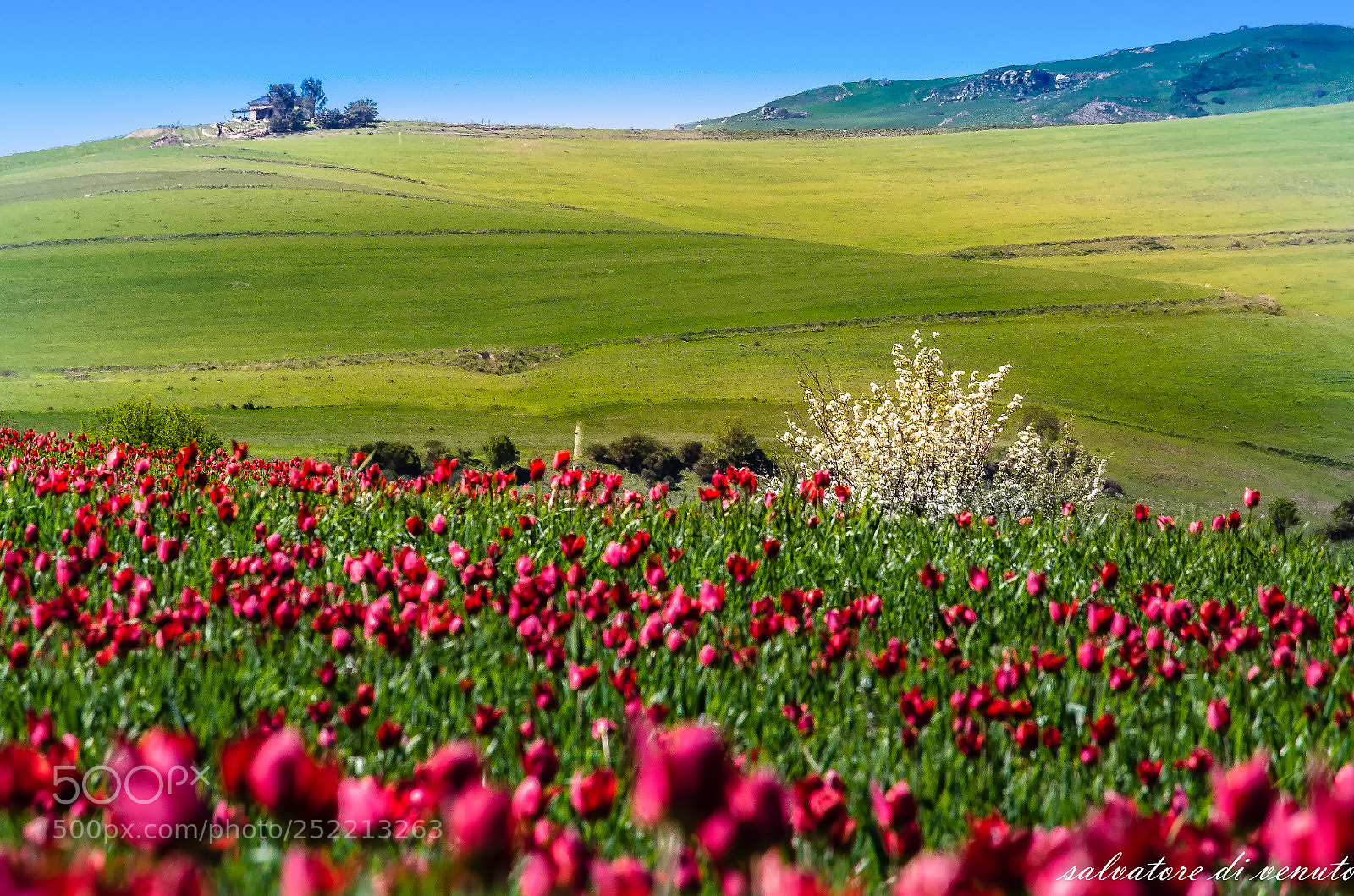 Nikon D7000 sample photo. Sicilia photography