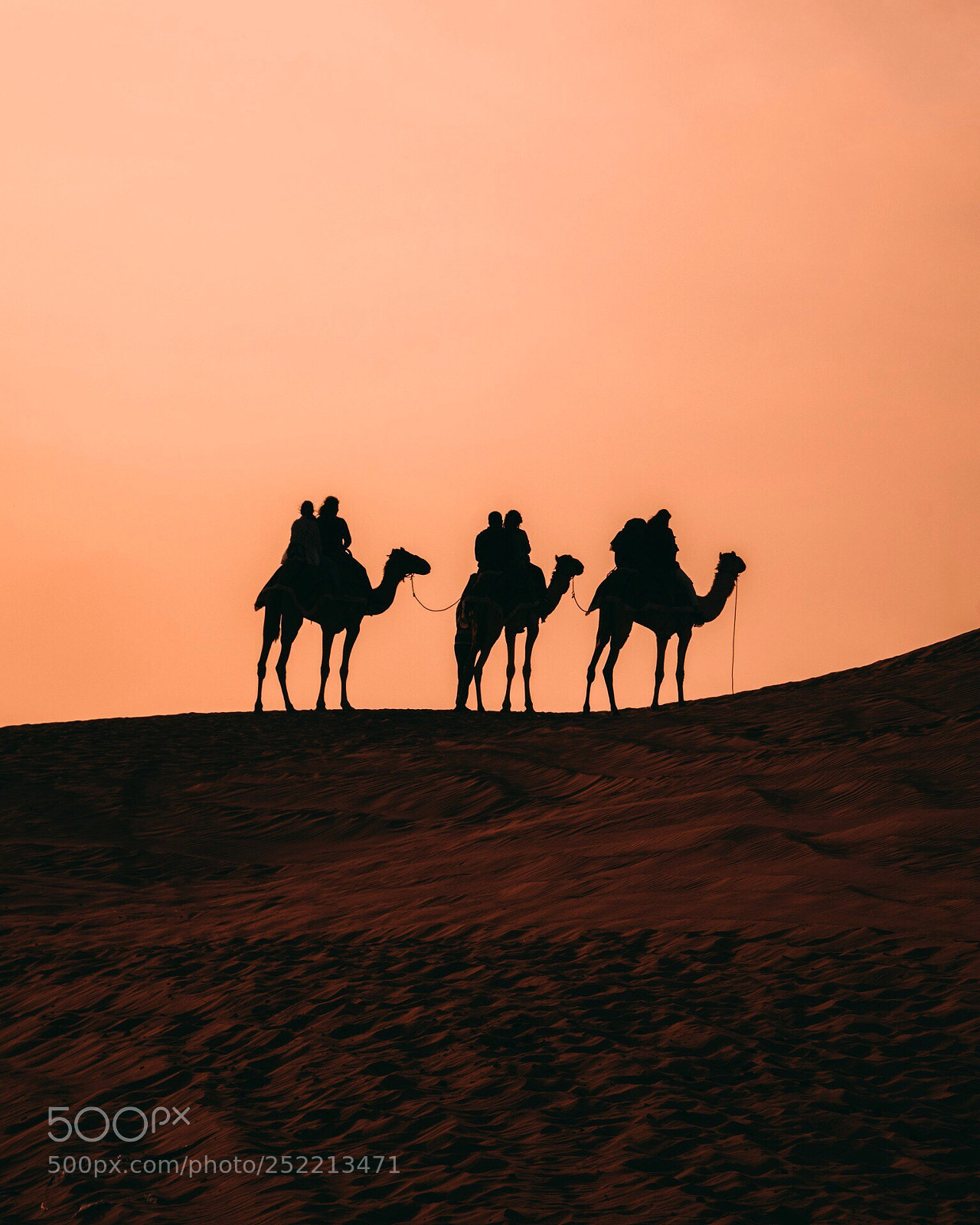 Sony a6300 sample photo. In the desert  photography