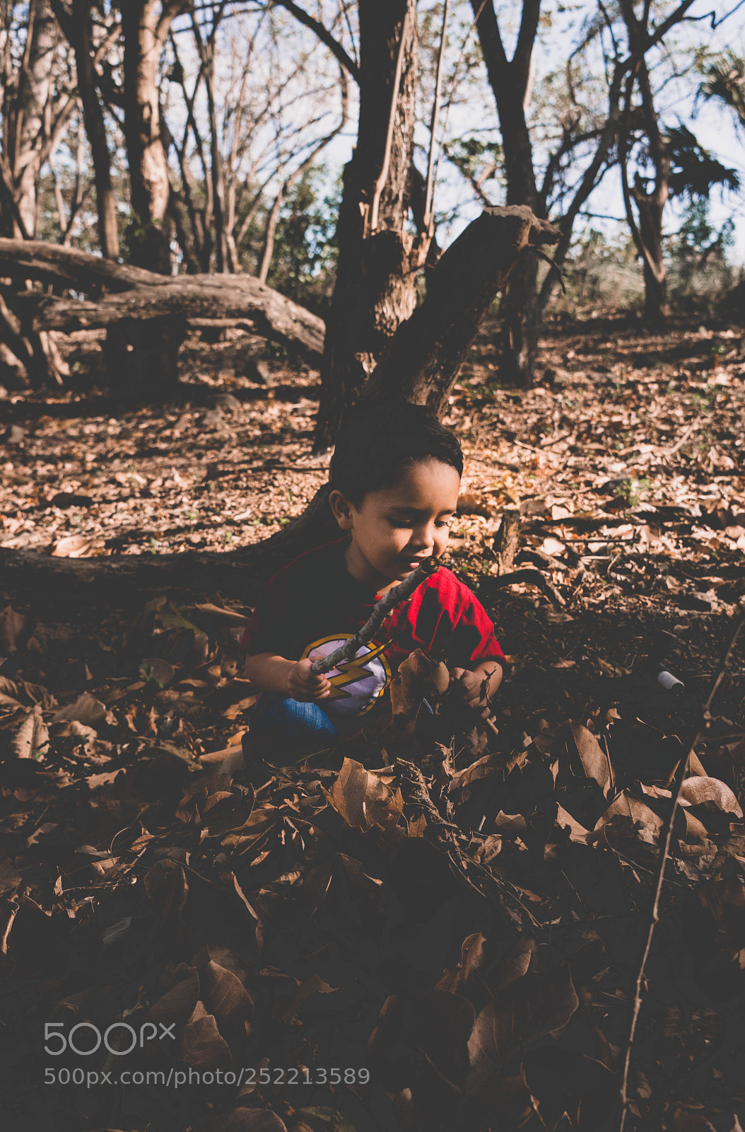 Nikon D3300 sample photo. Untitled photography
