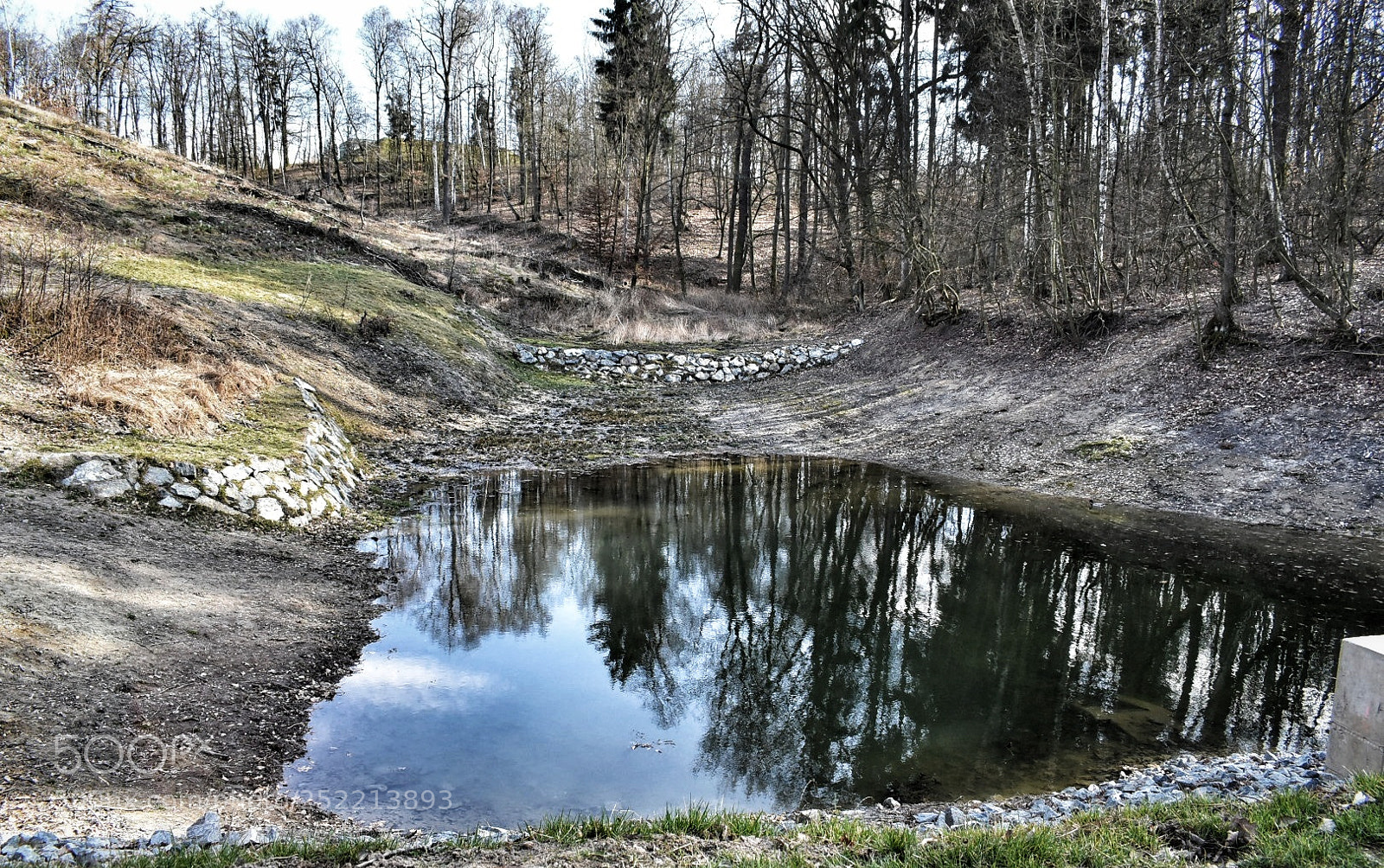 Nikon D5600 sample photo. Mirror pond photography