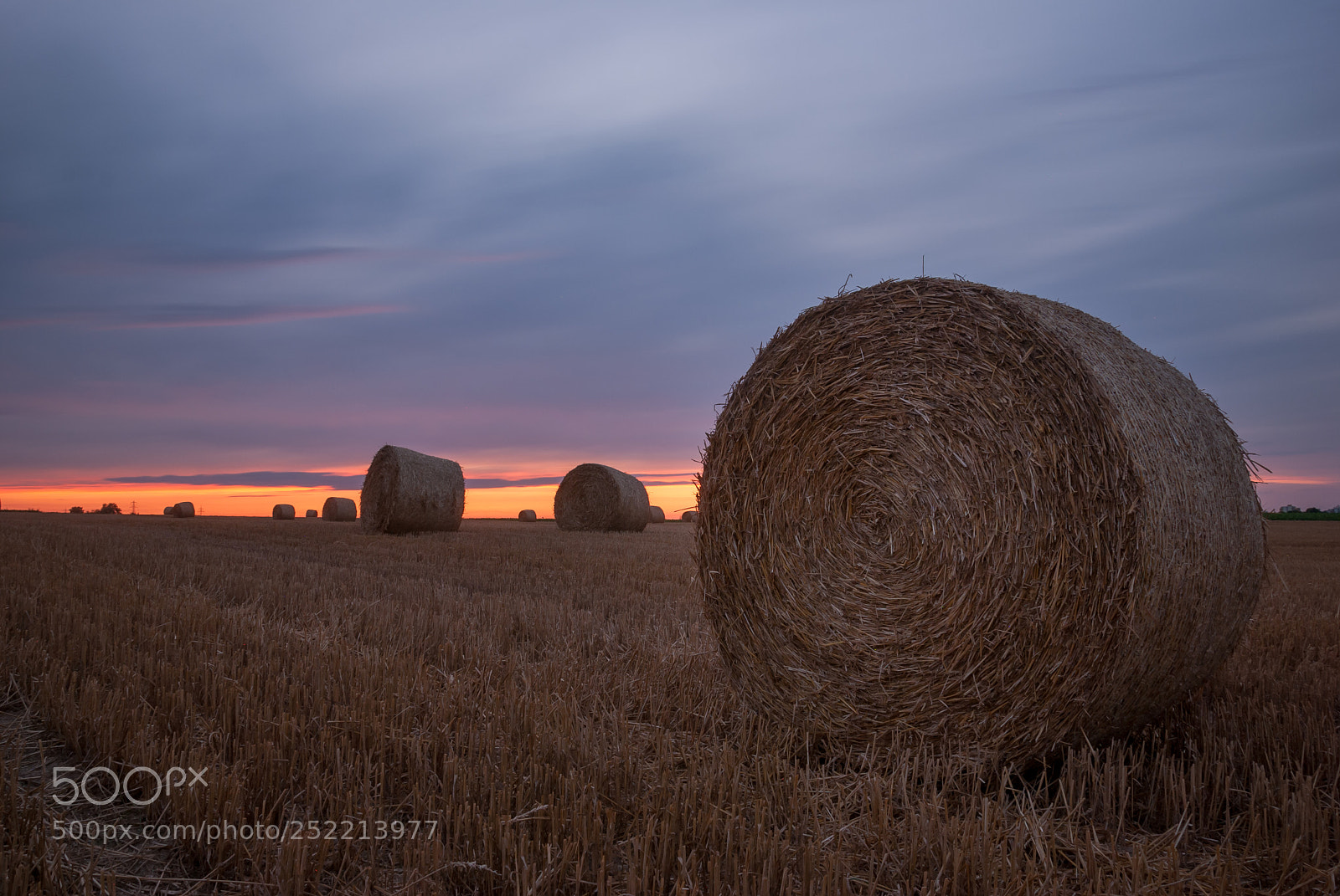 Nikon D60 sample photo. Hay bales photography