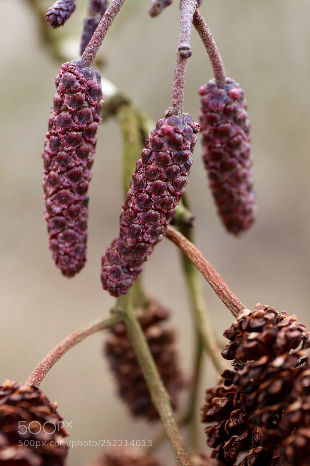 Canon EOS 77D (EOS 9000D / EOS 770D) sample photo. Two generations photography