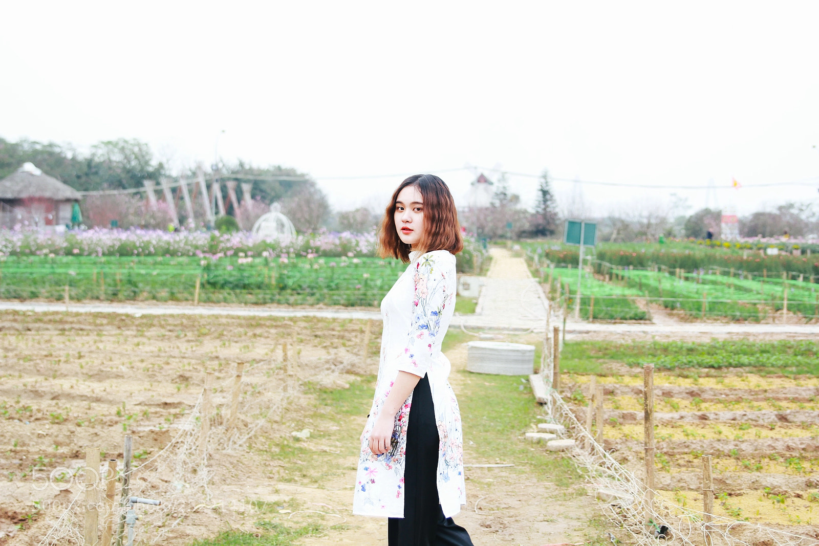 Canon EOS 60D sample photo. Img photography