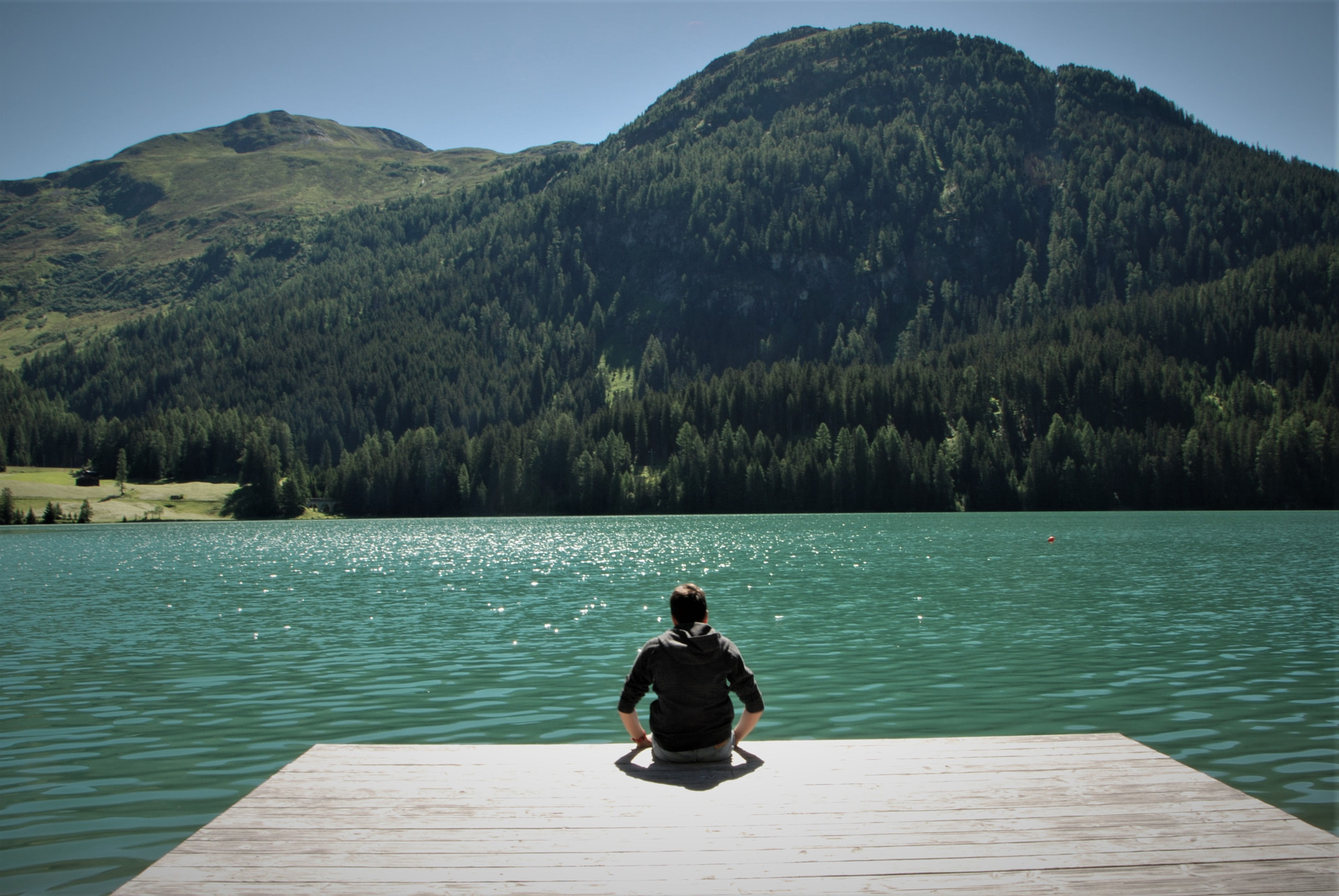 Nikon D80 sample photo. August in davos photography