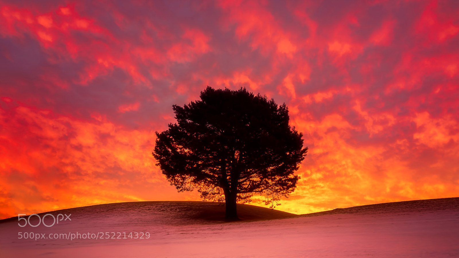 Nikon D7100 sample photo. Sky on fire photography