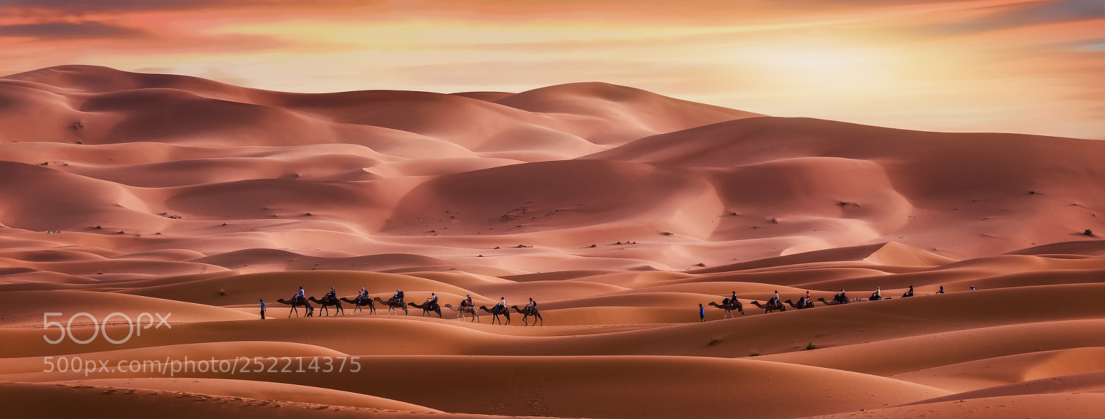 Nikon D810 sample photo. Erg chebbi photography