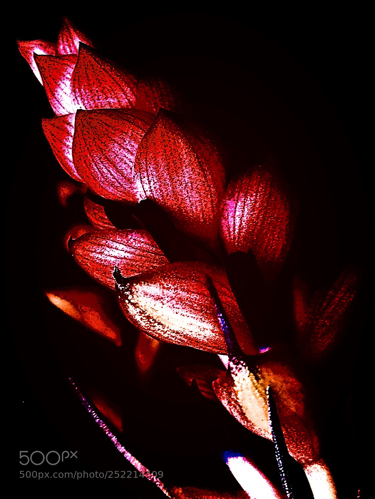 Apple iPhone 5s sample photo. Flames  photography