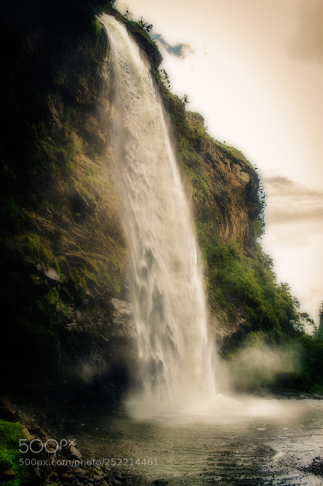Nikon D3100 sample photo. Condor - machay photography