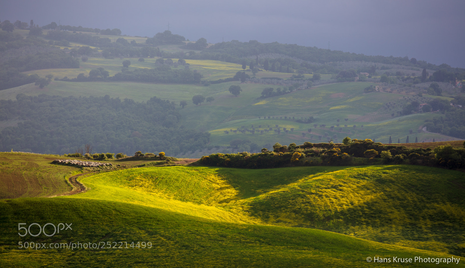 Canon EOS 5DS R sample photo. Light on the landscape photography