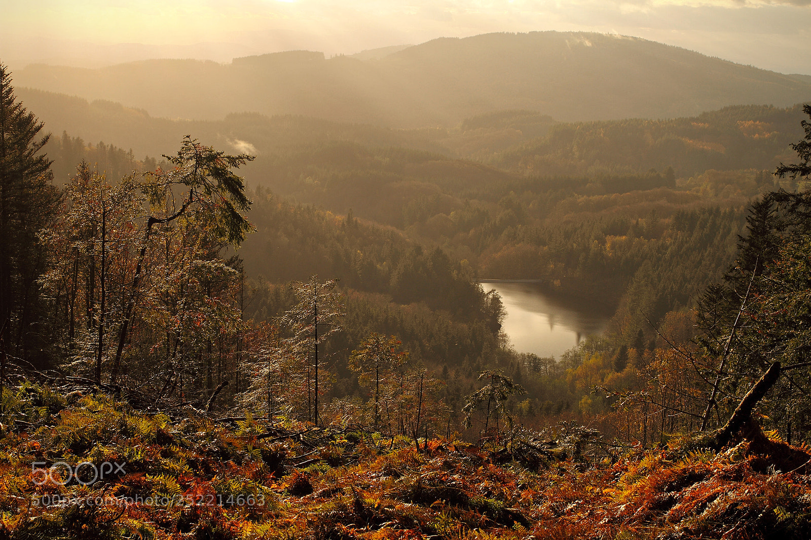 Canon EOS 7D sample photo. Vu d'en haut photography