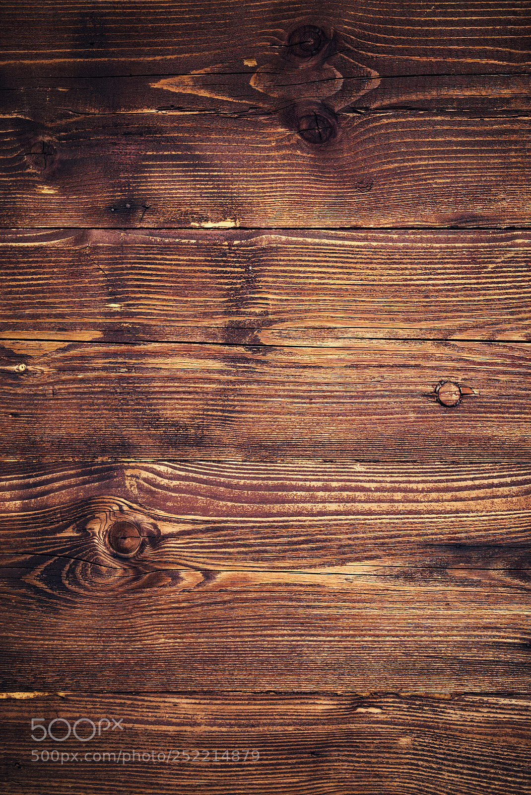 Nikon D5500 sample photo. Panel of stained spruce photography