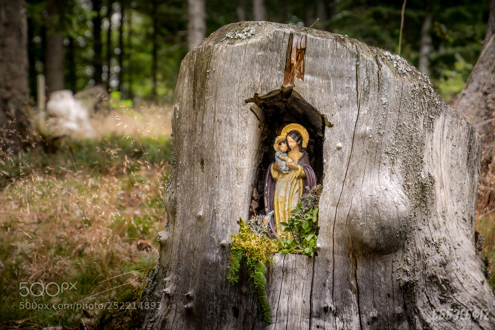 Sony SLT-A77 sample photo. Madonna photography