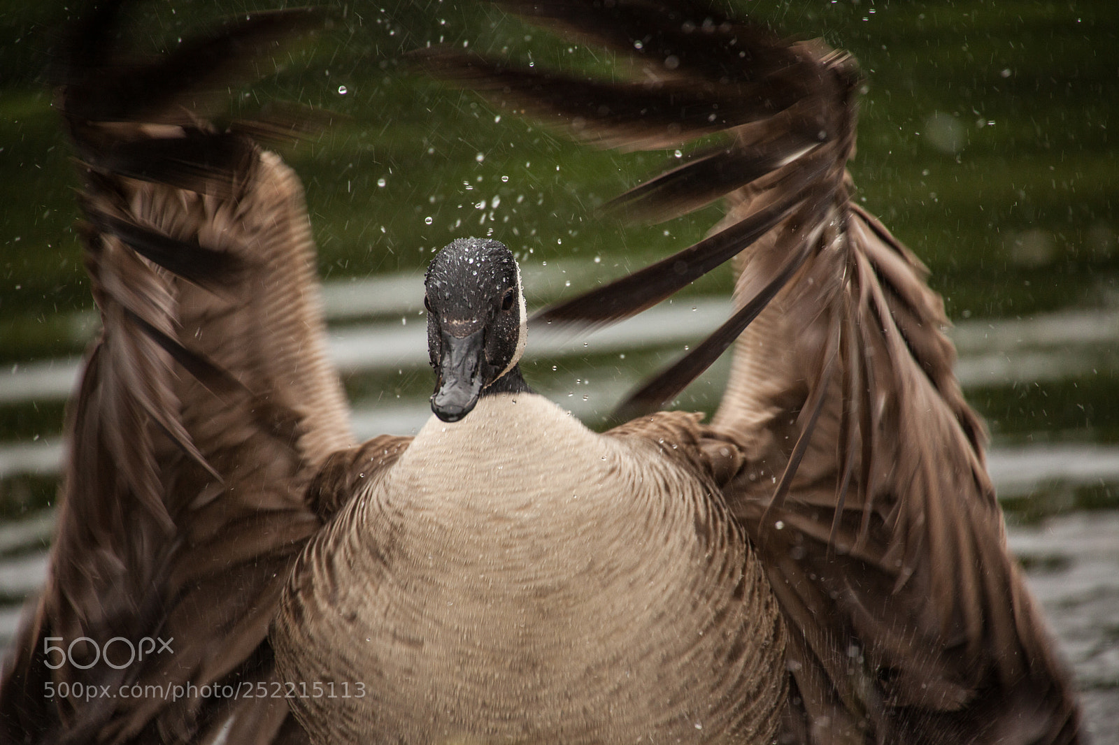 Canon EOS 5D Mark II sample photo. The wave photography