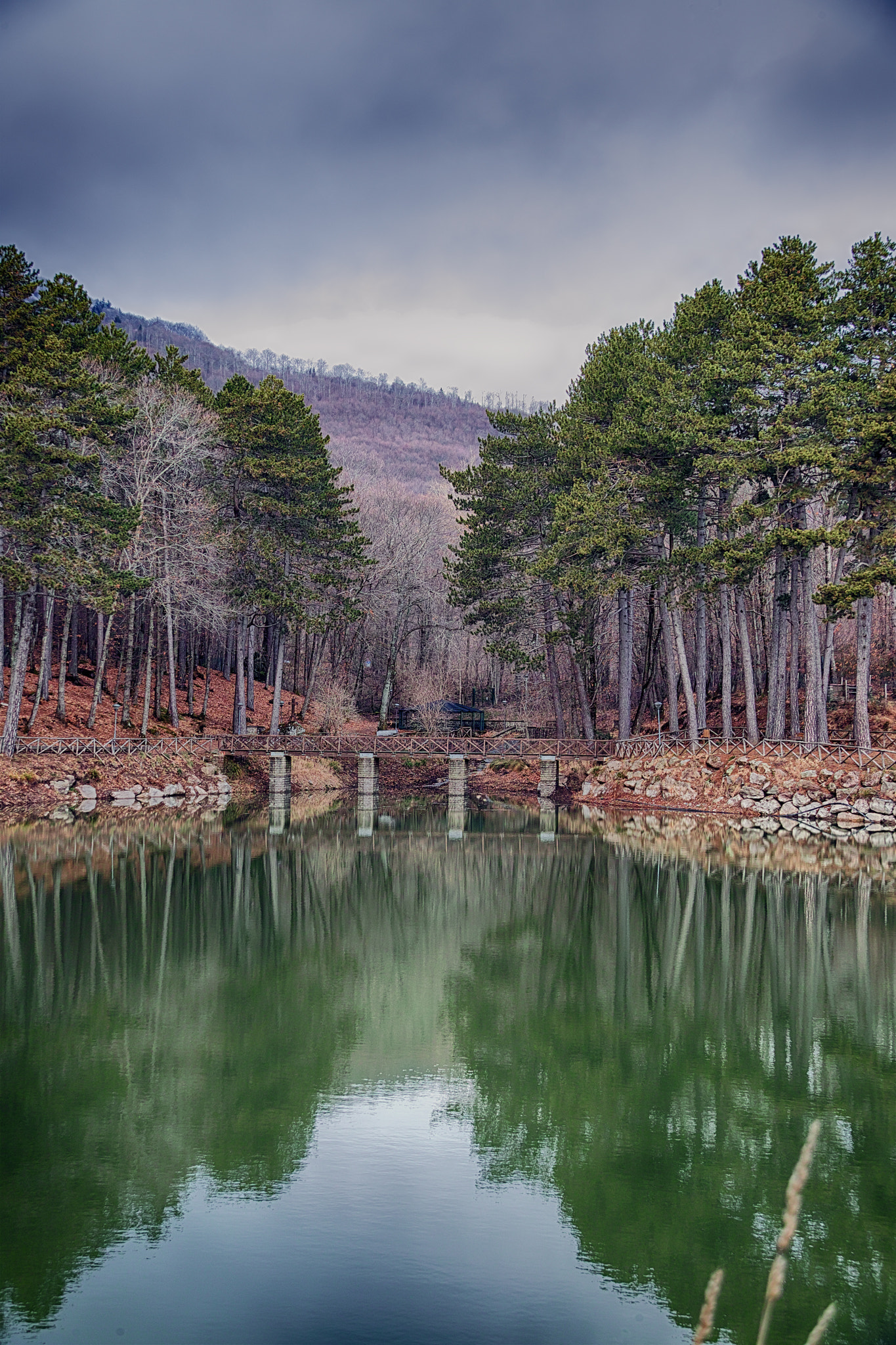 Sigma sd Quattro sample photo. The green little pond photography