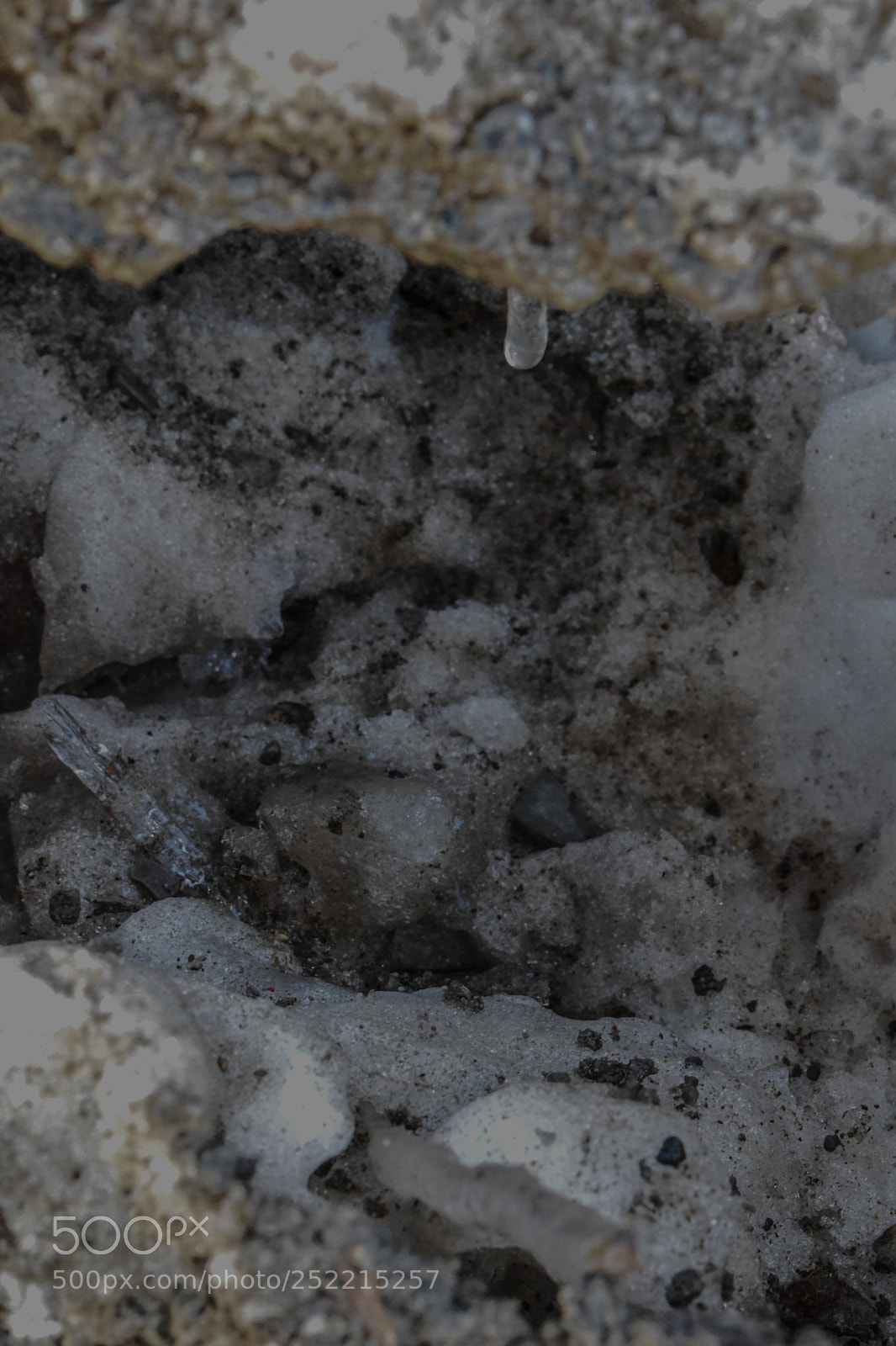 Nikon D3300 sample photo. Texture photography